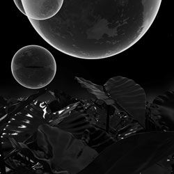 photo 2050-20