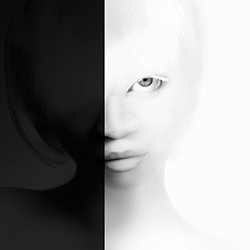 photo 2050-223